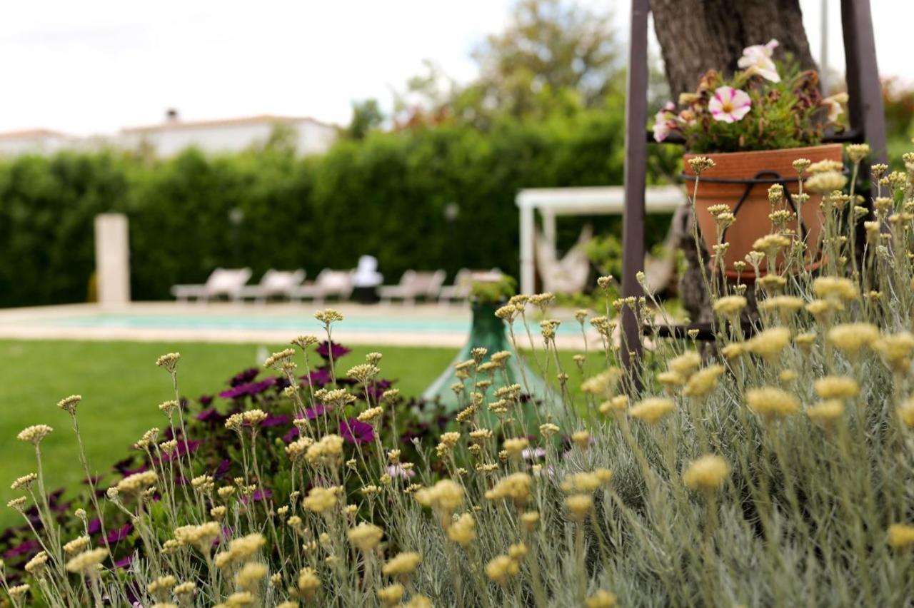 Trullo Rinaldi - Private Pool And Sauna Castellana Grotte Extérieur photo